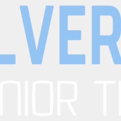silver wings Thumbnail